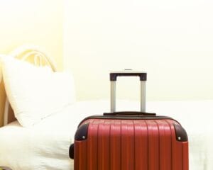 Overlast van insecten na de vakantie